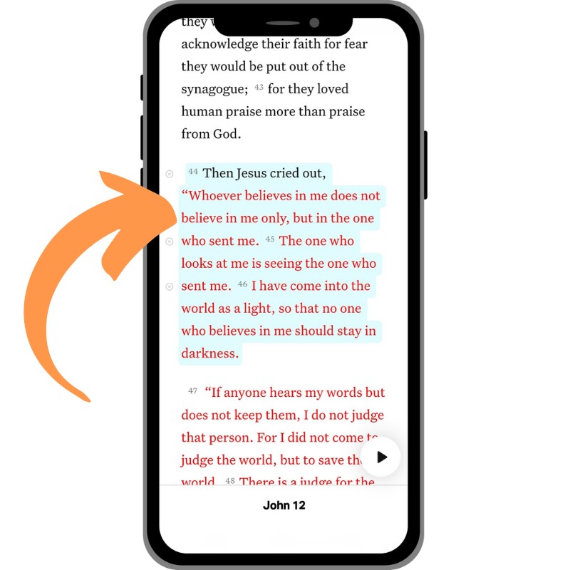 Bible app for beginners