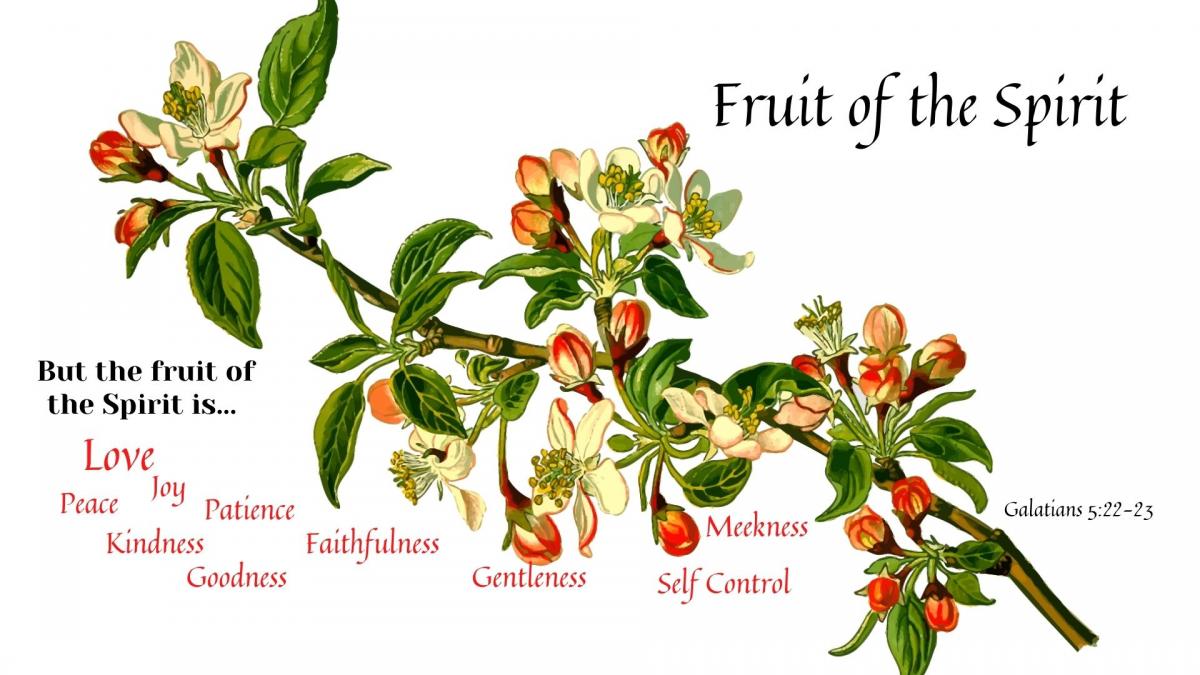 Fruit of the Spirit (1).jpg