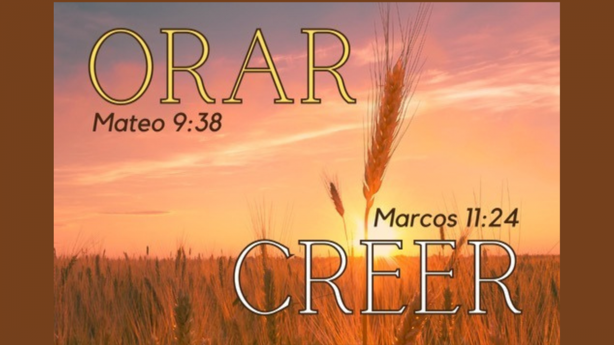 Orar y Creer (4.5 × 2.5 in) (Desktop Wallpaper).png