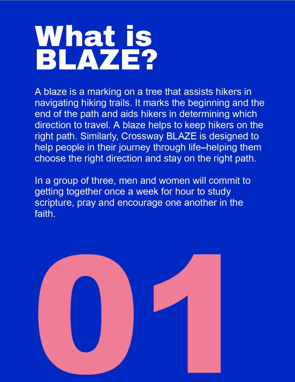 Copy of BLAZE booklet_page-0003.jpg