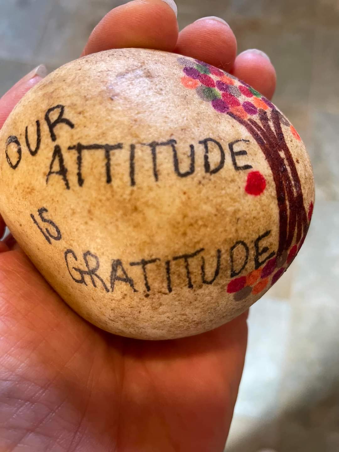 Our Attitude is Gratitude.jpg