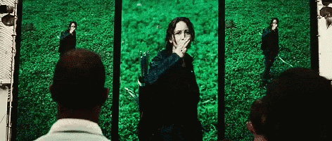 Hunger Games Katniss Salute